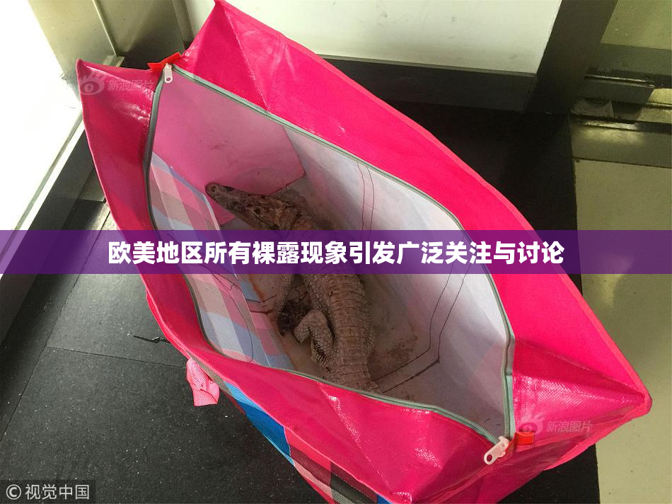 欧美地区所有裸露现象引发广泛关注与讨论