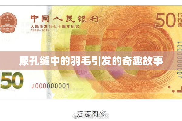 尿孔缝中的羽毛引发的奇趣故事