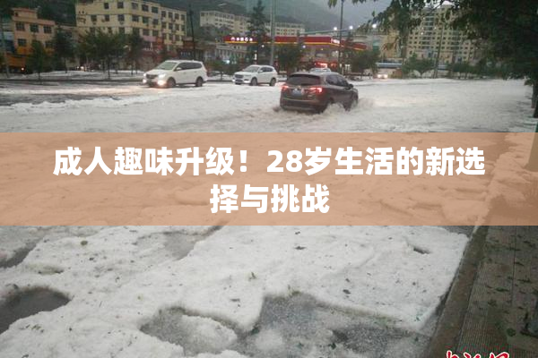 成人趣味升级！28岁生活的新选择与挑战