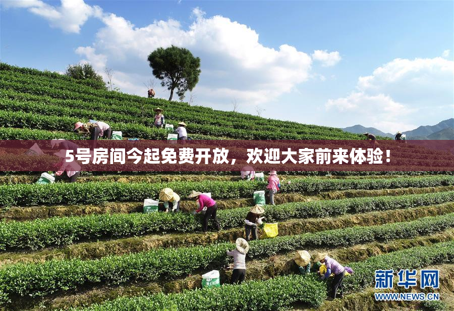 5号房间今起免费开放，欢迎大家前来体验！