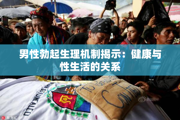 男性勃起生理机制揭示：健康与性生活的关系