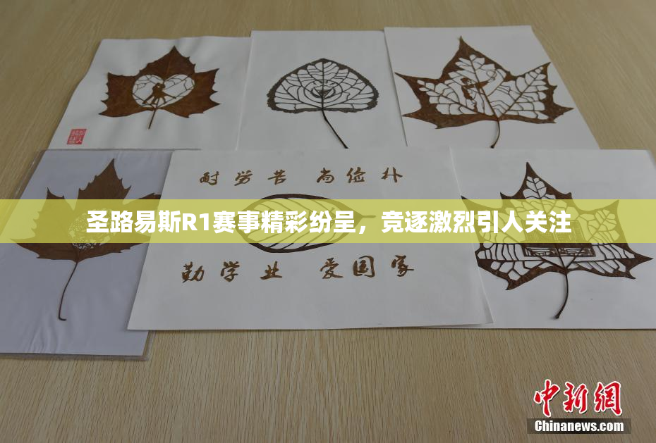 圣路易斯R1赛事精彩纷呈，竞逐激烈引人关注