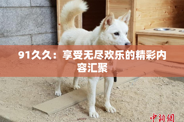 91久久：享受无尽欢乐的精彩内容汇聚