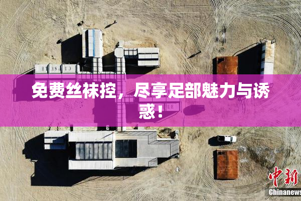 免费丝袜控，尽享足部魅力与诱惑！