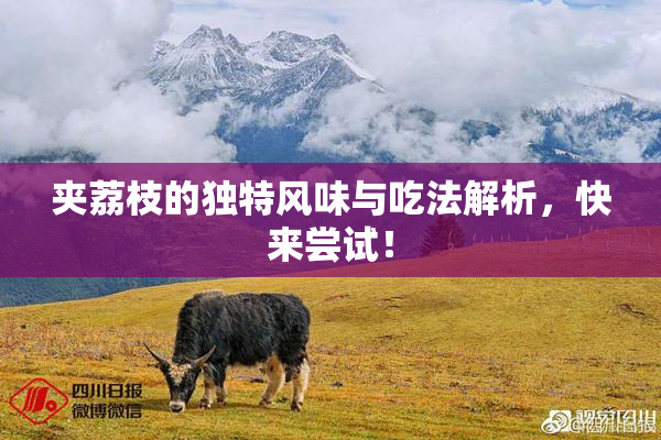 夹荔枝的独特风味与吃法解析，快来尝试！