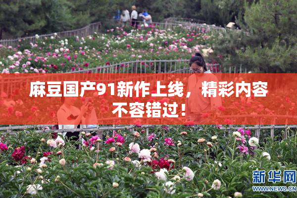 麻豆国产91新作上线，精彩内容不容错过！