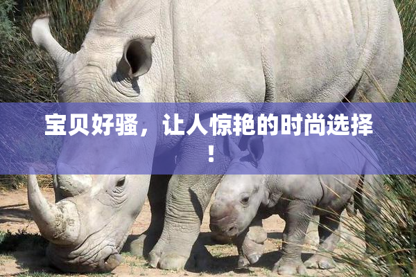 宝贝好骚，让人惊艳的时尚选择！