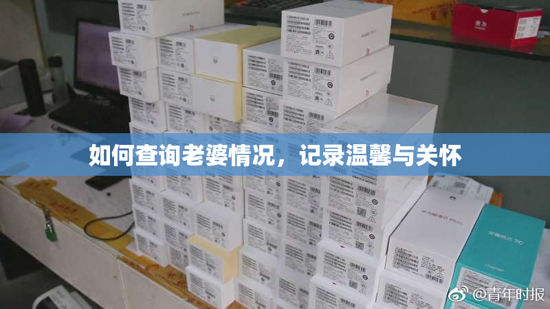 如何查询老婆情况，记录温馨与关怀