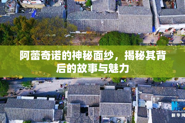 阿蕾奇诺的神秘面纱，揭秘其背后的故事与魅力