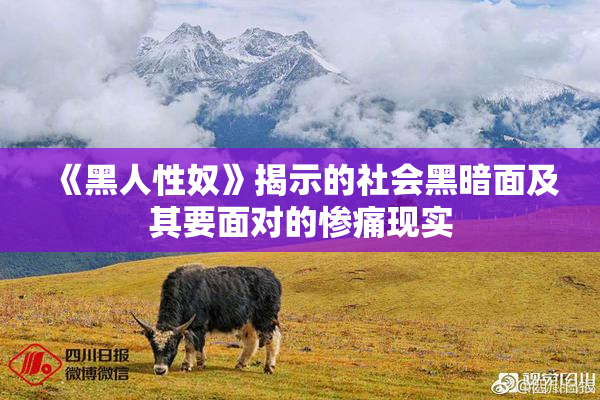《黑人性奴》揭示的社会黑暗面及其要面对的惨痛现实