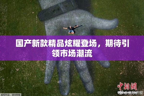 国产新款精品炫耀登场，期待引领市场潮流