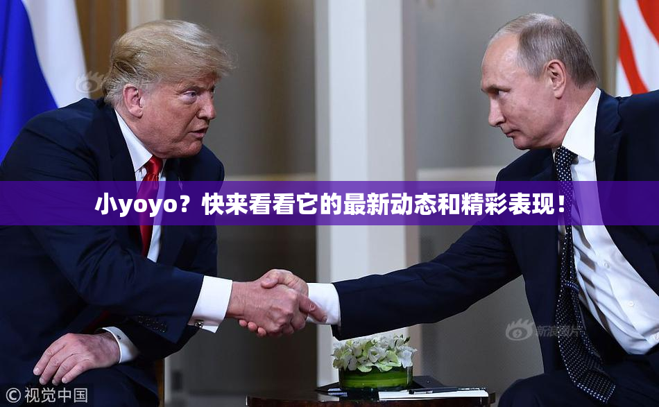 小yoyo？快来看看它的最新动态和精彩表现！