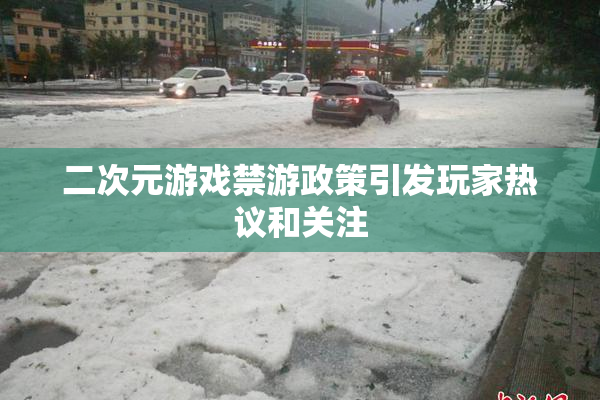 二次元游戏禁游政策引发玩家热议和关注