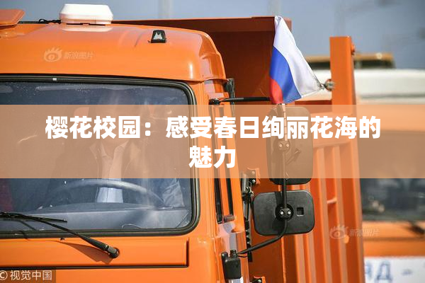 樱花校园：感受春日绚丽花海的魅力