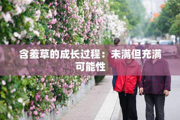 含羞草的成长过程：未满但充满可能性