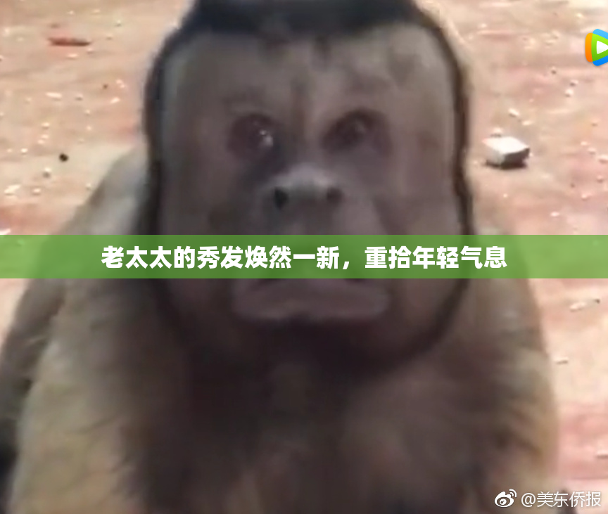 老太太的秀发焕然一新，重拾年轻气息