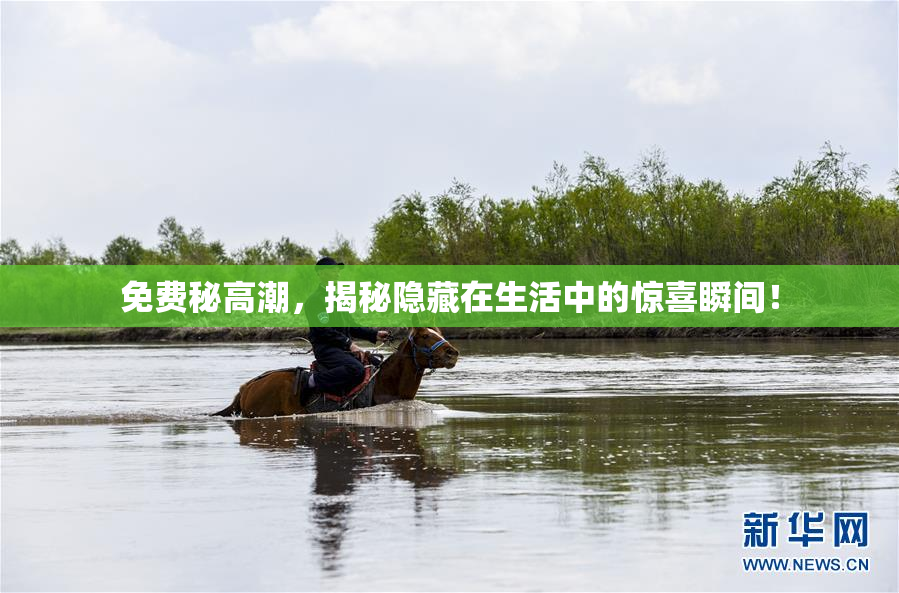免费秘高潮，揭秘隐藏在生活中的惊喜瞬间！