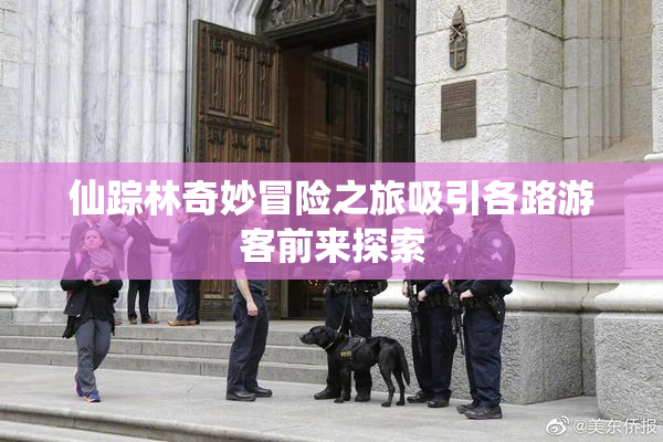 仙踪林奇妙冒险之旅吸引各路游客前来探索