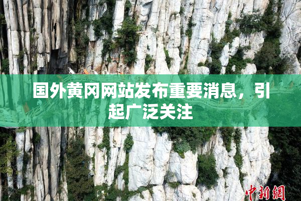 国外黄冈网站发布重要消息，引起广泛关注
