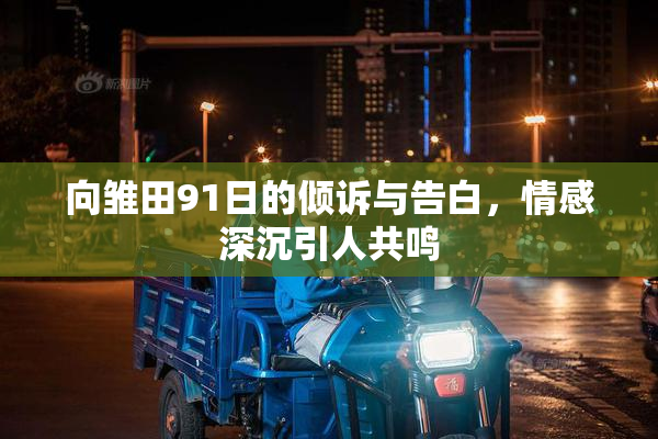 向雏田91日的倾诉与告白，情感深沉引人共鸣