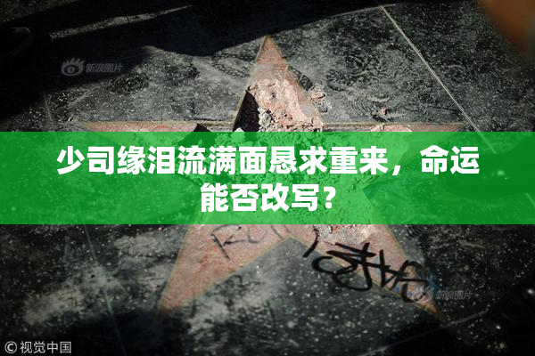 少司缘泪流满面恳求重来，命运能否改写？