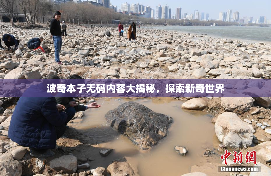波奇本子无码内容大揭秘，探索新奇世界