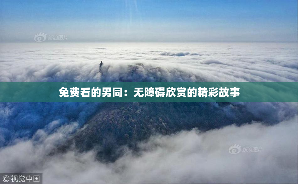 免费看的男同：无障碍欣赏的精彩故事
