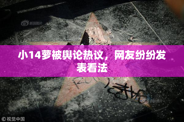 小14萝被舆论热议，网友纷纷发表看法