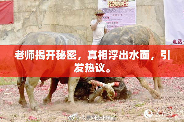 老师揭开秘密，真相浮出水面，引发热议。