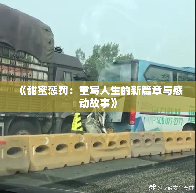 《甜蜜惩罚：重写人生的新篇章与感动故事》