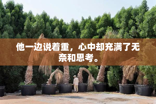 他一边说着重，心中却充满了无奈和思考。