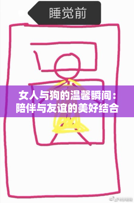 女人与狗的温馨瞬间：陪伴与友谊的美好结合