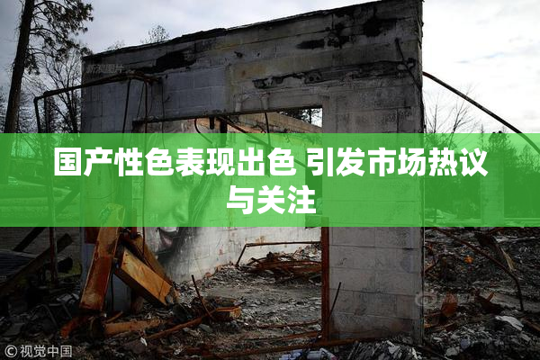 国产性色表现出色 引发市场热议与关注