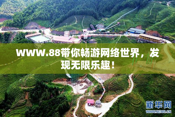 WWW.88带你畅游网络世界，发现无限乐趣！