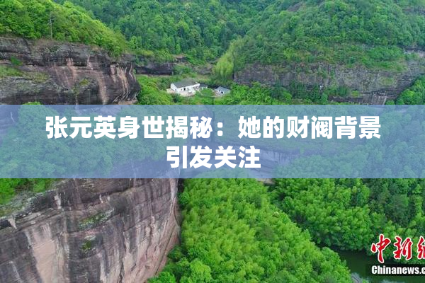 张元英身世揭秘：她的财阀背景引发关注