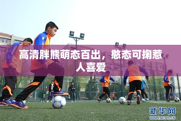 高清胖熊萌态百出，憨态可掬惹人喜爱