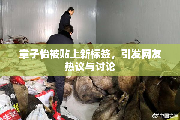 章子怡被贴上新标签，引发网友热议与讨论