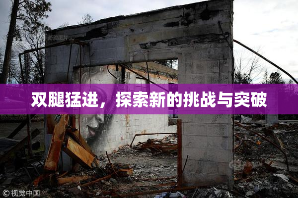 双腿猛进，探索新的挑战与突破