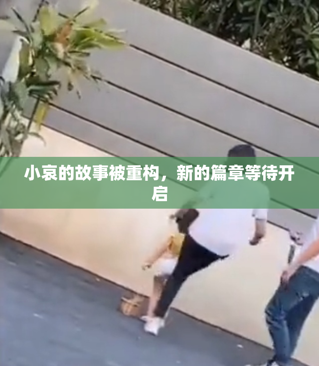 小哀的故事被重构，新的篇章等待开启