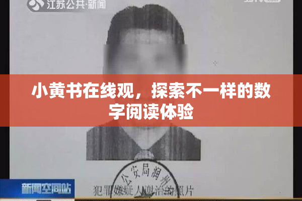 小黄书在线观，探索不一样的数字阅读体验
