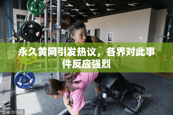 永久黄网引发热议，各界对此事件反应强烈