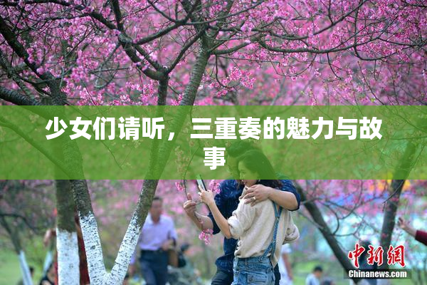 少女们请听，三重奏的魅力与故事