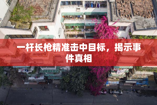 一杆长枪精准击中目标，揭示事件真相