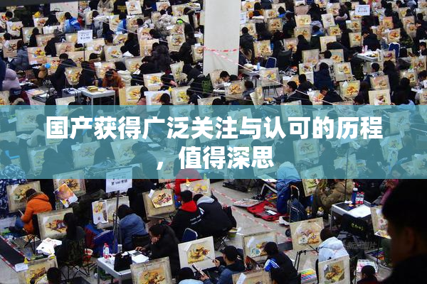 国产获得广泛关注与认可的历程，值得深思