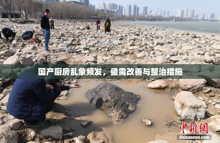 国产厨房乱象频发，亟需改善与整治措施