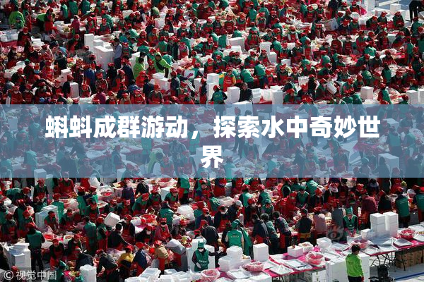 蝌蚪成群游动，探索水中奇妙世界