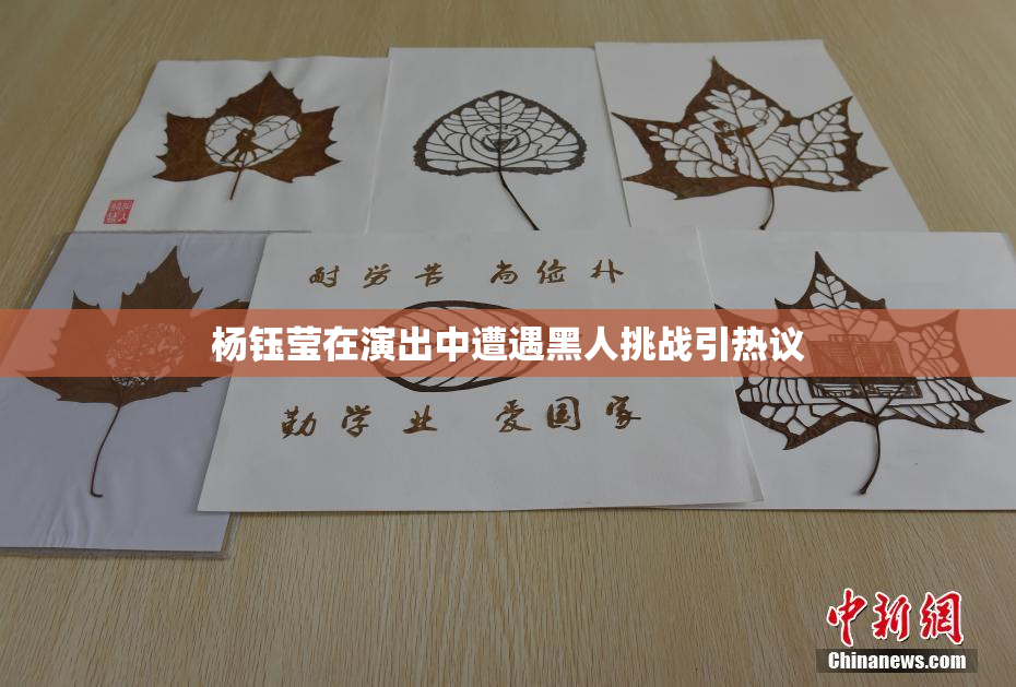 杨钰莹在演出中遭遇黑人挑战引热议