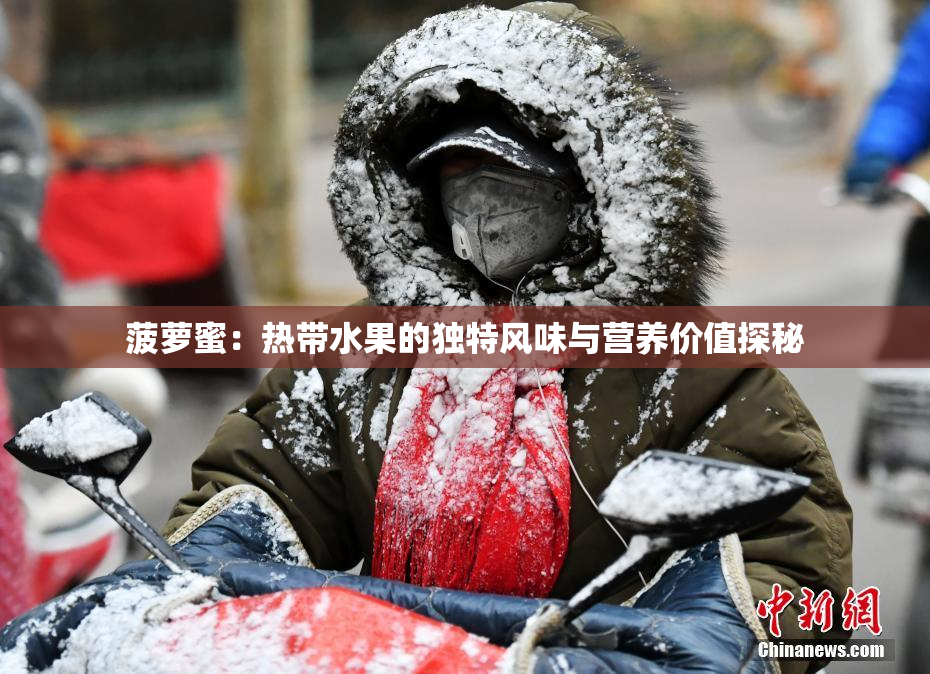 菠萝蜜：热带水果的独特风味与营养价值探秘