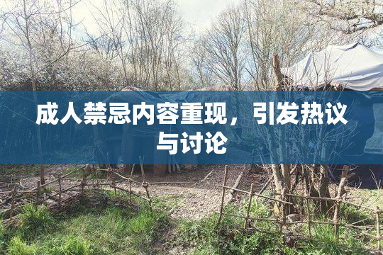 成人禁忌内容重现，引发热议与讨论