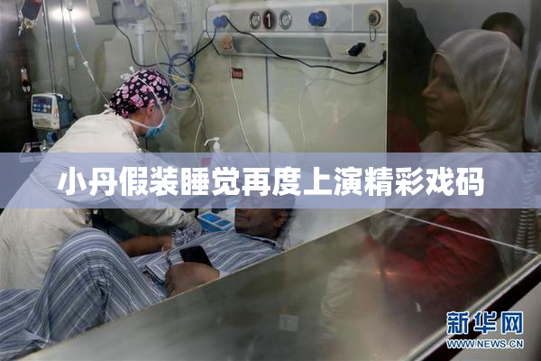 小丹假装睡觉再度上演精彩戏码